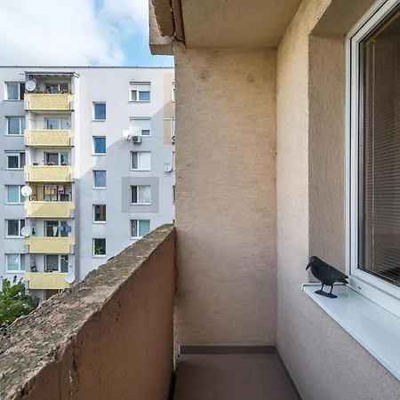 The Nest - * Komárno